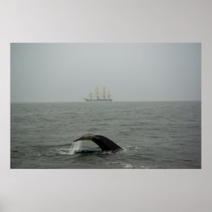 Humpback Whale and Tall Ship 2 Print