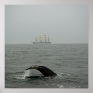 Humpback Whale and Tall Ship 2 Print