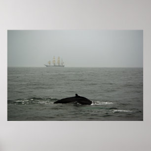 Humpback Whale and Tall Ship Print