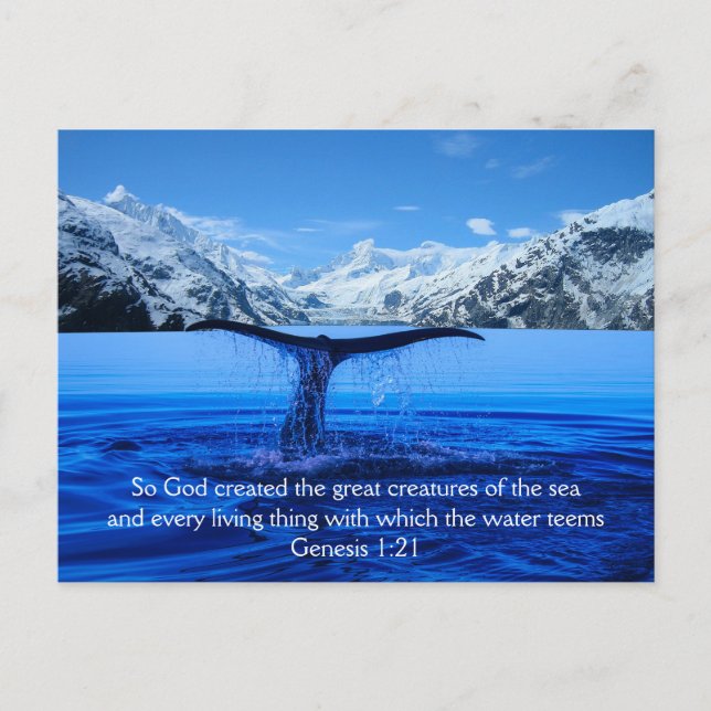 Humpback Whale Bible Verse - Postcard (Front)