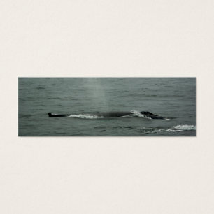 Humpback Whale Bookmark