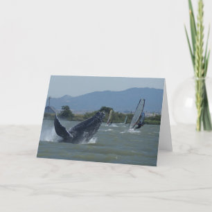 Humpback Whale Breaching by Windsurfers Card