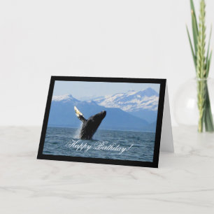 Humpback Whale Breaching; Happy Birthday Card