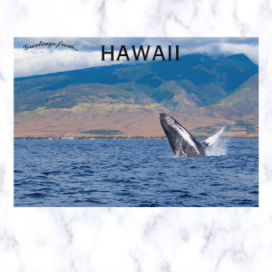Humpback Whale Breaching Lahaina Hawaii Postcard