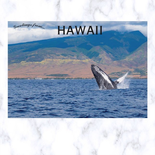 Humpback Whale Breaching Lahaina Hawaii Postcard (Creator Uploaded)
