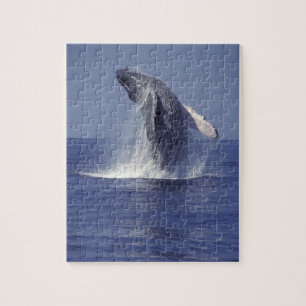 Humpback whale breaching (Megaptera Jigsaw Puzzle