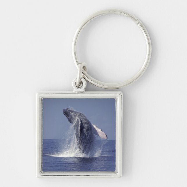 Humpback whale breaching (Megaptera Key Ring (Front)