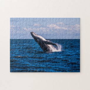 Humpback Whale Breaching off Surfers Paradise Jigsaw Puzzle