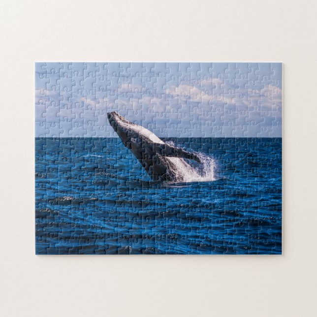Humpback Whale Breaching off Surfers Paradise Jigsaw Puzzle (Horizontal)