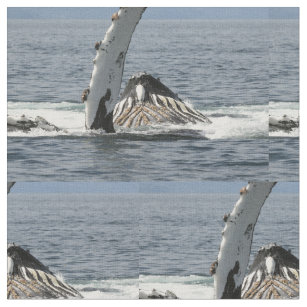 Humpback Whale Fabric