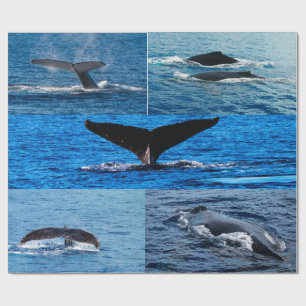 Humpback whale gift wrapping paper