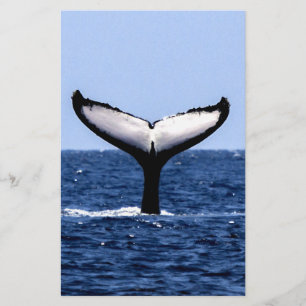 Humpback Whale in Ocean Stationery
