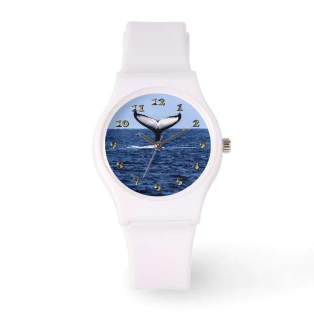 Humpback Whale in Ocean Watch (Front)