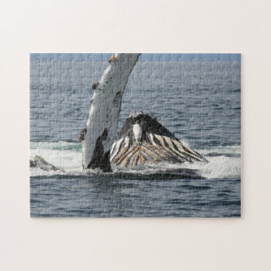 Humpback Whale Jigsaw Puzzle
