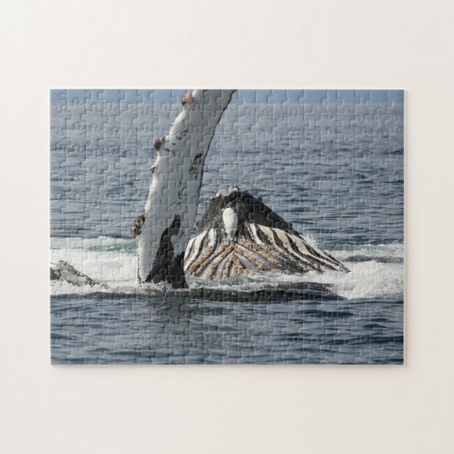 Humpback Whale Jigsaw Puzzle (Horizontal)