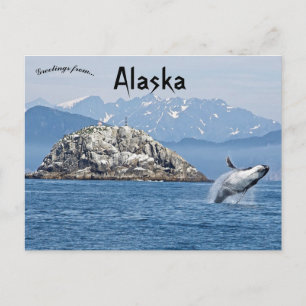 Humpback Whale Kenai Fjords National Park Alaska Postcard