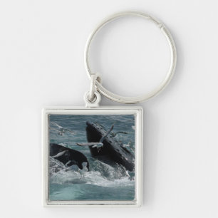 Humpback Whale Keychain