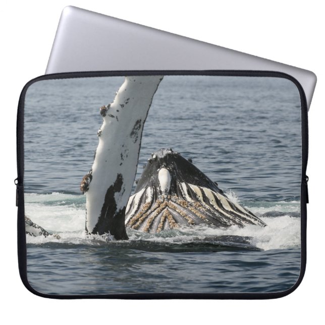 Humpback Whale Laptop Sleeve (Front)