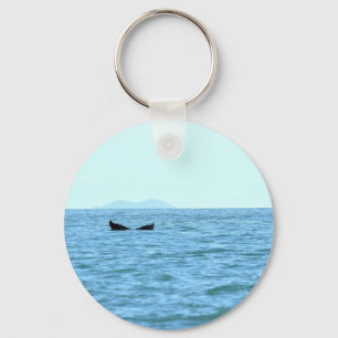 HUMPBACK WHALE MACKAY QUEENSLAND AUSTRALIA KEY RING