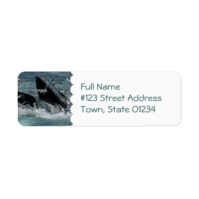 Humpback Whale Mailing Label (Front)