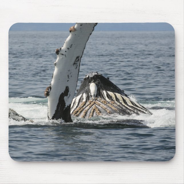 Humpback Whale Mouse Mat (Front)