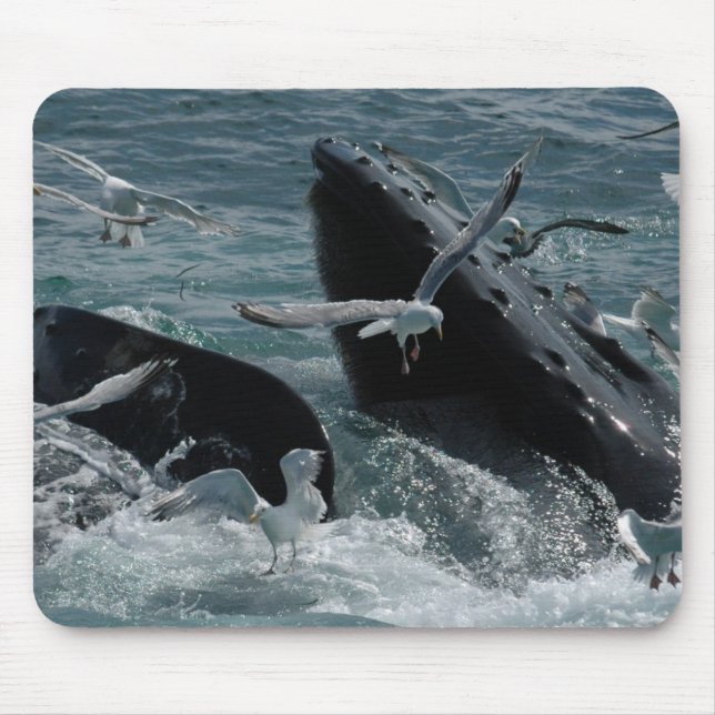 Humpback Whale Mouse Pad (Front)