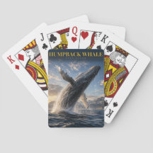 Humpback Whale Open Ocean ANIMALS