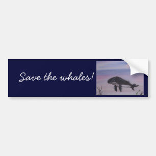 Humpback whale painting bumper sticker