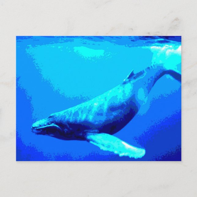 Humpback Whale Postcard (Front)