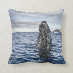 Humpback Whale Spyhops Hope Bay, Antarctica Cushion