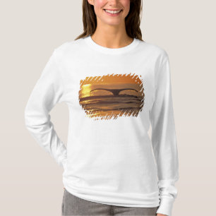 Humpback whale T-Shirt
