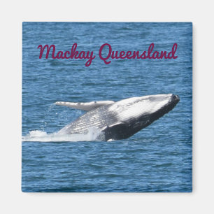 HUMPBACK WHALE TAIL MACKAY QUEENSLAND AUSTRALIA MAGNET