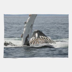 Humpback Whale Tea Towel
