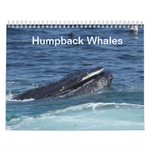 Humpback Whales calendar