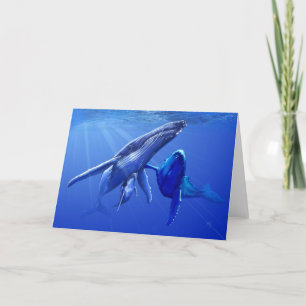 Humpback Whales Card