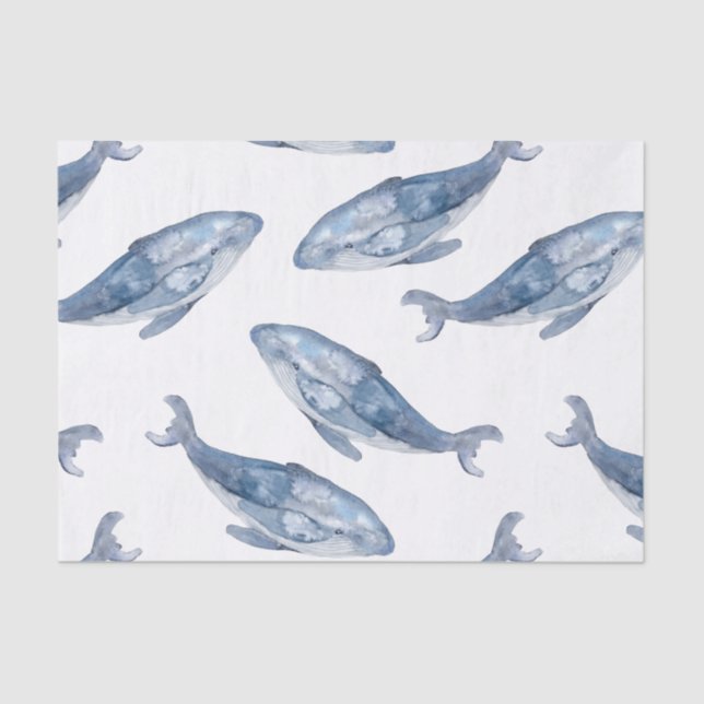 Humpback Whales in Watercolor Tissue Paper (Front)