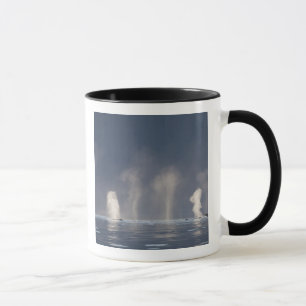 Humpback Whales Megaptera novaeangliae) Mug