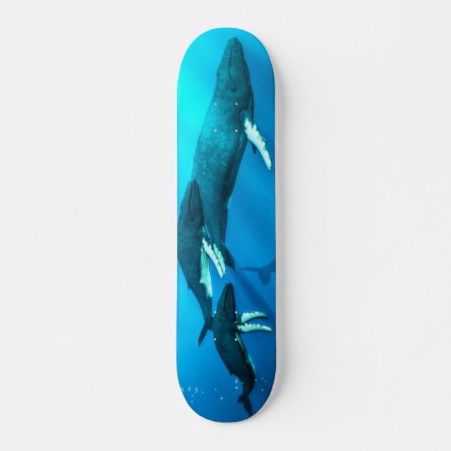 Humpback Whales Skateboard (Front)