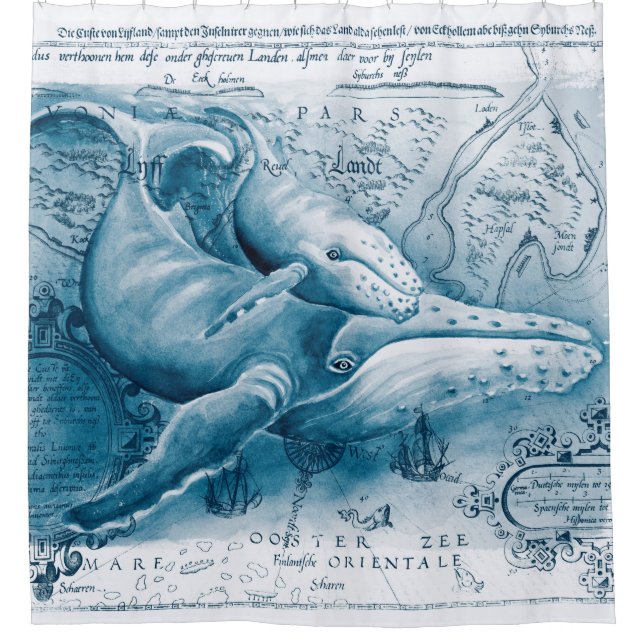 Humpbacks Blue Vintage Map Shower Curtain (Front)