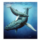 Humpbacks 'Serenity' Mother & Calf -Canvas print