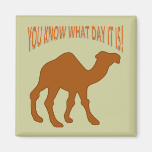 HUMPDAY ! CAMEL HUMP DAY YOU KNOW WHAT DAY IT IS MAGNET
