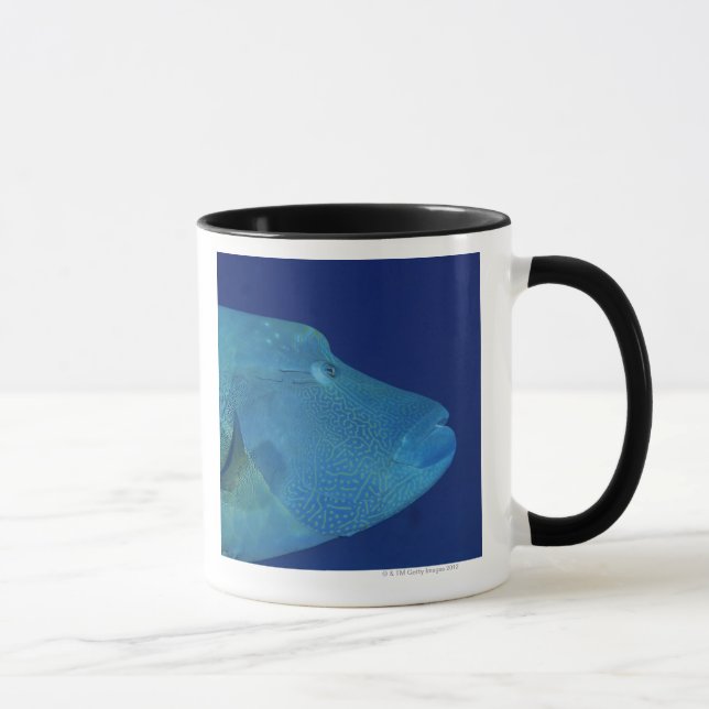 Humphead Wrasse 2 Mug (Right)