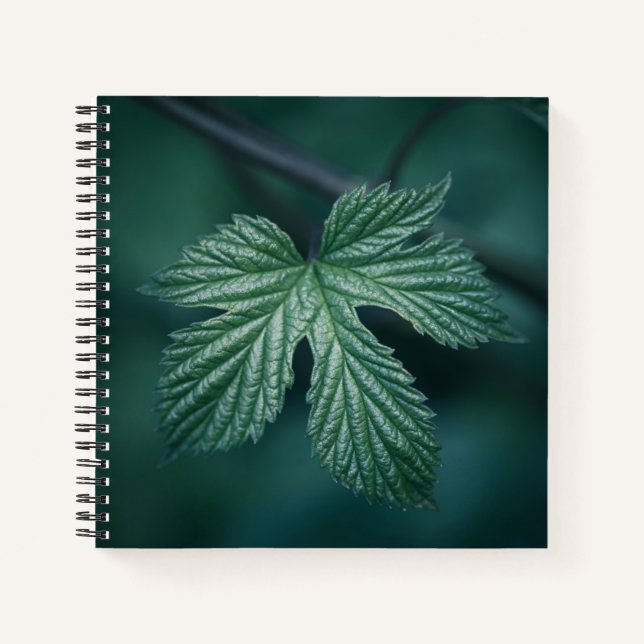 Humulus Nature Photo Notebook (Front)
