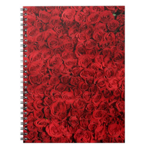 Hundreds of Beautiful Red Roses Notebook
