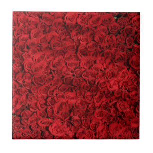 Hundreds of Beautiful Red Roses Tile