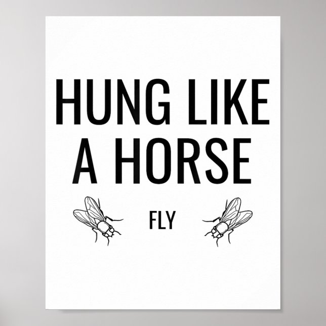 Hung Like A Horse Fly - Funny Sarcastic Horsefly W Poster (Front)