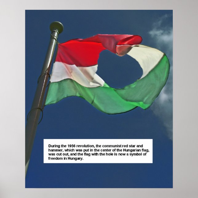 Hungarian Flag of the Revolution Poster (Front)