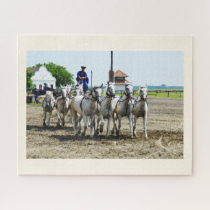 Hungarian horse riding jigsaw puzzle