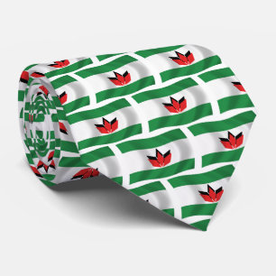 Hungarian People Flag Tie