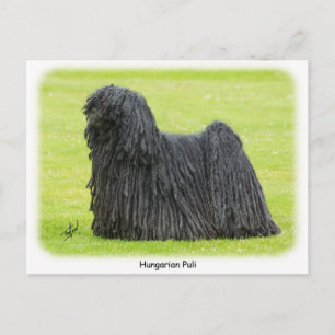 Hungarian Puli 9R71D-101 Postcard
